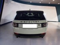 Auto Usate A Teramo | Land Rover Discovery Sport Discovery Sport 2.0 Td4 Hse Luxury Awd 150Cv Aut...