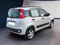 Auto Usate A Teramo | Fiat Panda 0.9 Twinair Turbo Natural Power Lounge