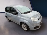 Auto Usate A Teramo | Fiat Panda 0.9 Twin Air Turbo Natural Power 84Cv Benzina/Metano