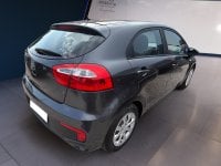 Auto Usate A Teramo | Kia Rio Rio 5P 1.2 Cool Eco Gpl