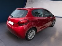 Auto Usate A Teramo | Peugeot 208 208 5P 1.6 Bluehdi Allure 75Cv