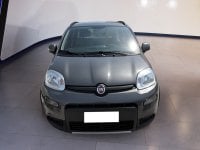 Auto Usate A Teramo | Fiat Panda Panda 1.0 Firefly Hybrid S&S 70Cv