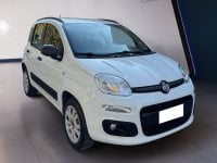 Auto Usate A Teramo | Fiat Panda Panda 0.9 T.air T. Natural Power Young 80Cv