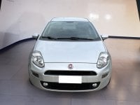 Auto Usate A Teramo | Fiat Punto Punto 5P 1.4 Easypower Lounge Gpl E6
