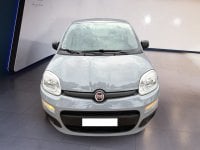 Auto Usate A Teramo | Fiat Panda 0.9 Twin Air Turbo Natural Power 84Cv Benzina/Metano
