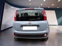 Auto Usate A Teramo | Fiat Panda 0.9 Twin Air Turbo Natural Power 84Cv Benzina/Metano