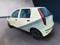 Auto Usate A Teramo | Fiat Punto Punto 5P 1.2 Active Gpl