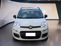 Auto Usate A Teramo | Fiat Panda 0.9 Twinair Turbo Natural Power Lounge