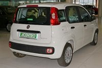 Auto Usate A Cagliari | Fiat Panda 1.0 70Cv Hybrid