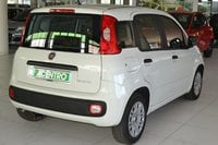 Auto Usate A Cagliari | Fiat Panda 1.0 70Cv Hybrid