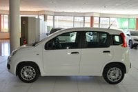 Auto Usate A Cagliari | Fiat Panda 1.0 70Cv Hybrid