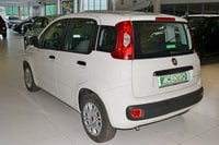 Auto Usate A Cagliari | Fiat Panda 1.0 70Cv Hybrid