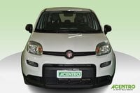 Auto Usate A Cagliari | Fiat Panda 1.0 70Cv Hybrid