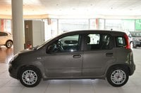 Auto Usate A Cagliari | Fiat Panda 1.0 70Cv Hybrid