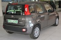 Auto Usate A Cagliari | Fiat Panda 1.0 70Cv Hybrid