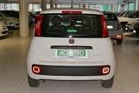 Auto Usate A Cagliari | Fiat Panda 1.0 70Cv Hybrid