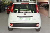 Auto Usate A Cagliari | Fiat Panda 1.0 70Cv Hybrid