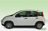Auto Usate A Cagliari | Fiat Panda 1.0 70Cv Hybrid