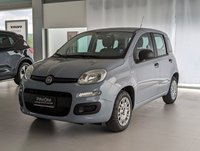 FIAT Panda Benzina 1.2 Easy Usata in provincia di Pescara - Pavoni Auto Srl img-1