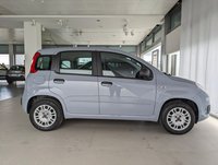 FIAT Panda Benzina 1.2 Easy Usata in provincia di Pescara - Pavoni Auto Srl img-4