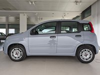 FIAT Panda Benzina 1.2 Easy Usata in provincia di Pescara - Pavoni Auto Srl img-2
