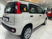 Auto Fiat Panda Panda 0.9 Twinair Turbo Natural Power Pop Usate A Benevento