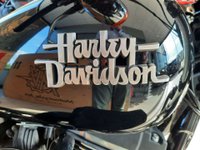 Harley-Davidson FXDR Benzina Harley-Davidson 1690FXDB 103 LIMITED Usata in provincia di Sassari - GLM Sassari img-13