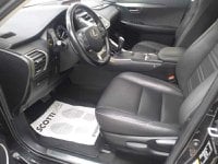 Lexus NX Ibrida 1ª serie Hybrid 4WD Executive Usata in provincia di Pisa - LEXUS PISA - SCOTTI 2.0 - Via Antonio Meucci  2D img-8