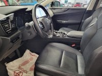 Lexus NX Ibrida Plug-in 4WD Premium Usata in provincia di Roma - Auto Royal Company - Via Salaria n. 1265 img-9