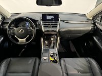 Lexus NX Ibrida Hybrid 4WD Luxury Usata in provincia di Roma - Auto Royal Company - Via Salaria n. 1265 img-9