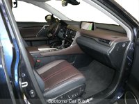 Lexus RX Ibrida 450h Hybrid Luxury Usata in provincia di Milano - Spotorno Car - Viale Fulvio Testi  6 img-5