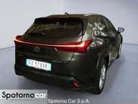 Lexus UX Ibrida Hybrid Business Usata in provincia di Milano - Spotorno Car - Viale Fulvio Testi  6 img-19