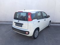 Auto Fiat Panda 1.0 Firefly 70 Cv S&S Hybrid Usate A Bari