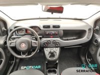 FIAT Panda Benzina III 2016 1.2 Pop s&s 69cv my19 Usata in provincia di Como - Serratore Spa - Erba img-13
