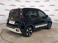 Auto Usate A Bergamo | Fiat Pandina Cross 1.0 Firefly Hybrid S&S 65Cv