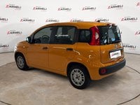 Auto Usate A Brescia | Fiat Panda 1.0 Hybrid Easy S&S 70Cv