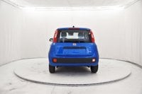 Auto Usate A Brescia | Fiat Panda 1.0 Firefly Hybrid S&S 70Cv 5P.ti