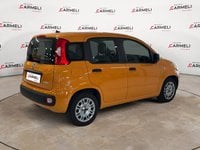Auto Usate A Brescia | Fiat Panda 1.0 Hybrid Easy S&S 70Cv