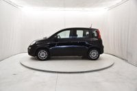 Auto Usate A Brescia | Fiat Panda 1.0 Firefly Hybrid S&S 70Cv 5P.ti