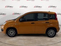 Auto Usate A Brescia | Fiat Panda 1.0 Hybrid Easy S&S 70Cv