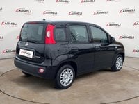Auto Usate A Brescia | Fiat Pandina 1.0 Firefly Hybrid Pop S&S 70Cv