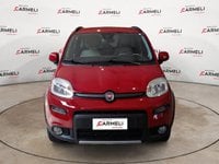 Auto Usate A Brescia | Fiat Panda 1.3 Mjt 16V 4X4 S&S 95Cv