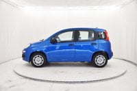 Auto Usate A Bergamo | Fiat Panda 1.0 Firefly Hybrid S&S 70Cv 5P.ti