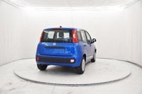 Auto Usate A Brescia | Fiat Panda 1.0 Firefly Hybrid S&S 70Cv 5P.ti