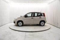 Auto Usate A Brescia | Fiat Panda 1.2 Easy 69Cv
