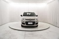 Auto Usate A Brescia | Fiat Panda 1.2 Easy 69Cv