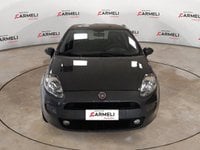 Auto Usate A Brescia | Fiat Punto 1.2 Street 5P E6