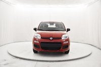 Auto Usate A Brescia | Fiat Panda 1.0 Firefly Hybrid S&S 70Cv 5P.ti