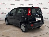 Auto Usate A Brescia | Fiat Pandina 1.0 Firefly Hybrid Pop S&S 65Cv
