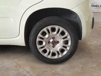 Auto Usate A Brescia | Fiat Panda 1.2 Easy S&S 69Cv My19 -Autocarro-Iva Esclusa